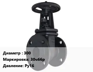 Задвижка чугунная канализационная 300 30ч66р Ру16
